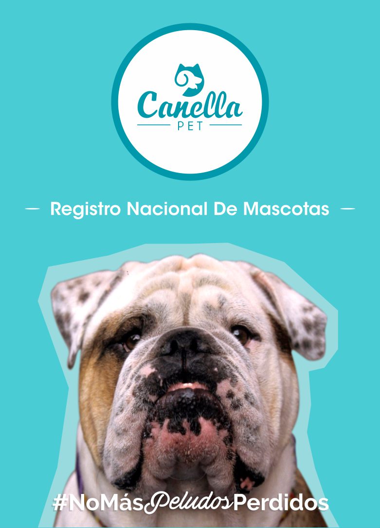 Mascota Registrada